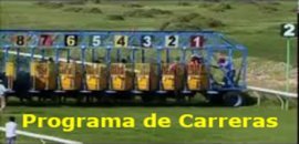 Programa de Carreras